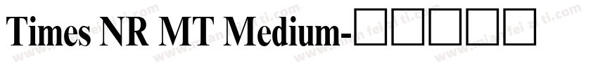 Times NR MT Medium字体转换